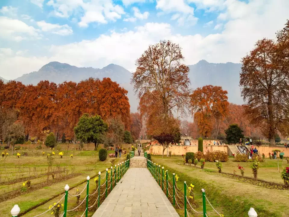 Mugal Garden Srinagar